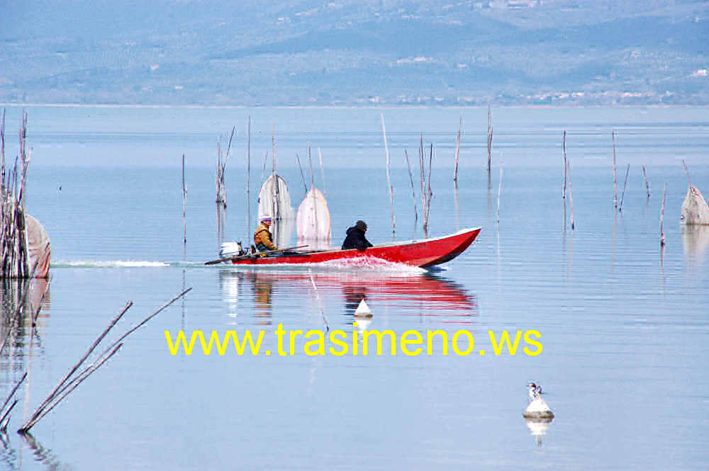 San Feliciano pesca sul Lago Trasimeno